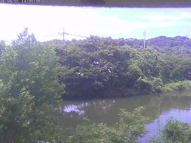 勝部川１2026/08/01 20:50:00