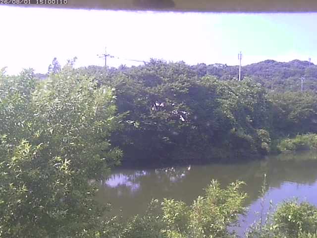 勝部川１2026/08/01 20:50:00