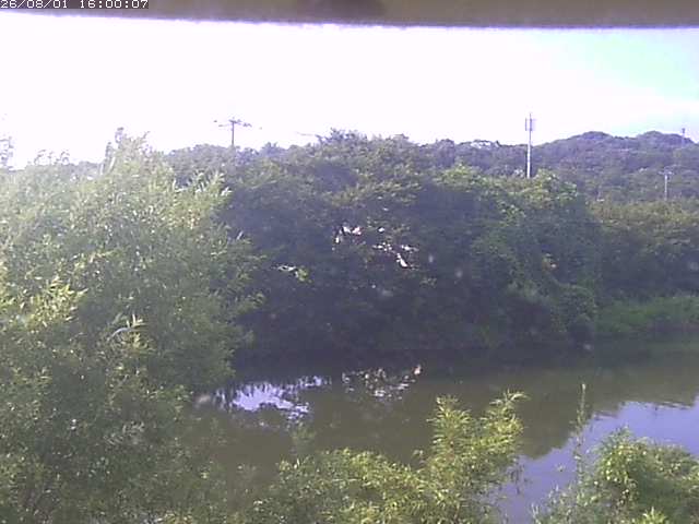 勝部川１2026/08/01 20:50:00