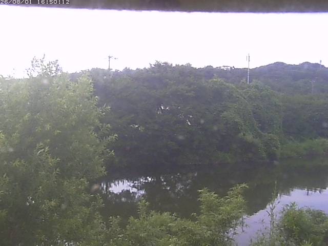 勝部川１2026/08/01 20:50:00