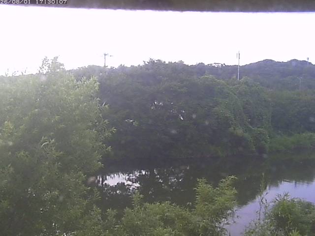 勝部川１2026/08/01 20:50:00