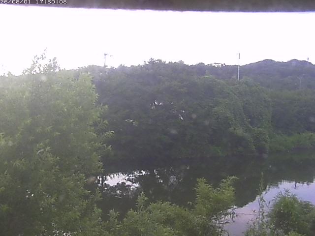 勝部川１2026/08/01 20:50:00
