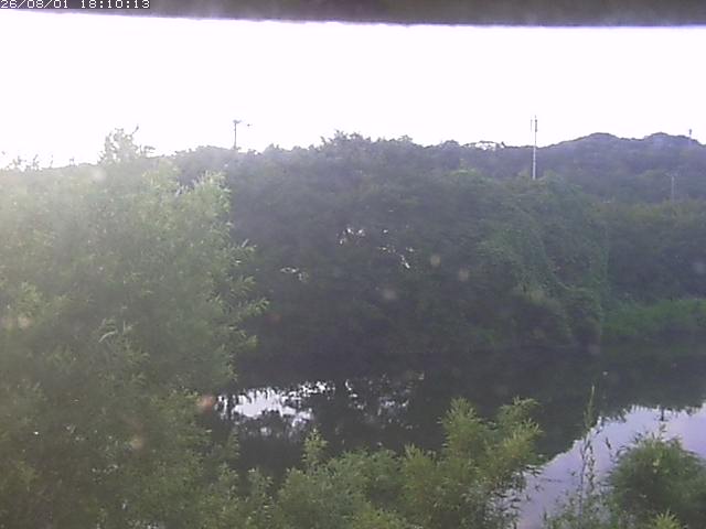 勝部川１2026/08/01 20:50:00