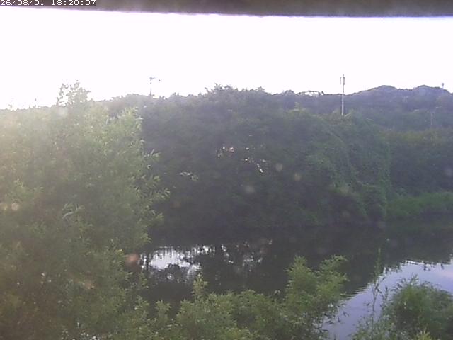 勝部川１2026/08/01 20:50:00