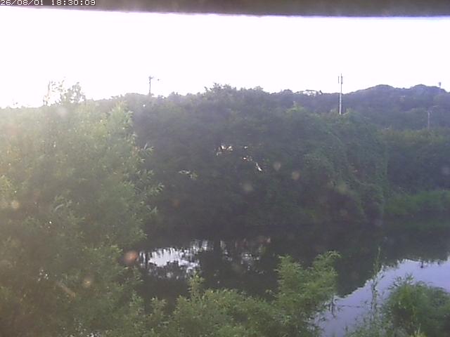 勝部川１2026/08/01 20:50:00