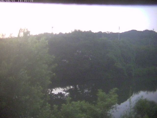 勝部川１2026/08/01 20:50:00