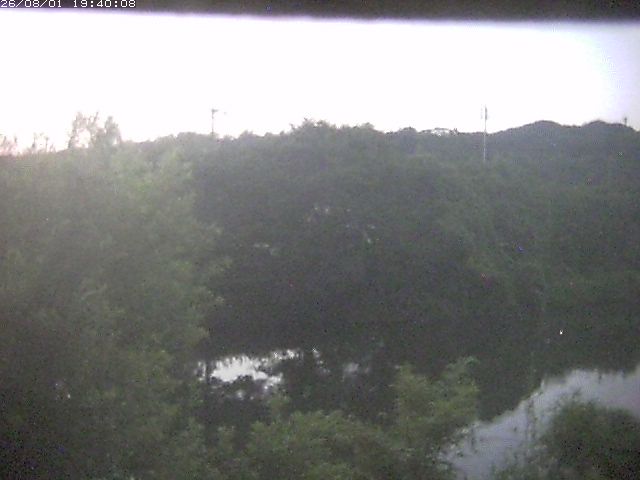勝部川１2026/08/01 20:50:00