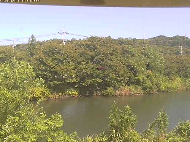 勝部川１2025/08/31 9:10:00
