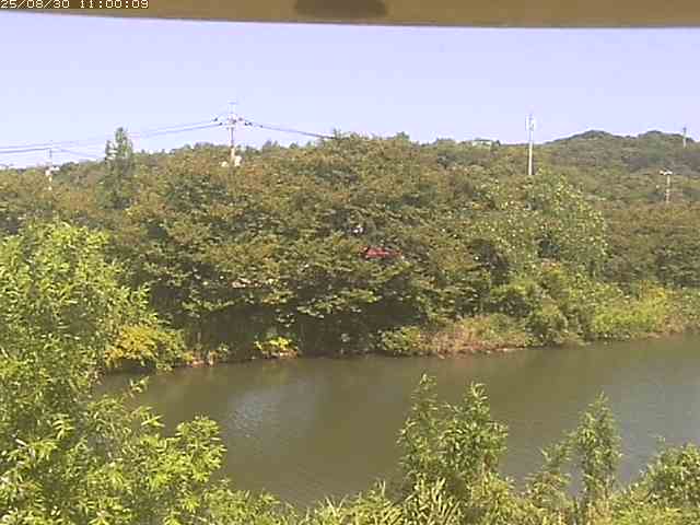 勝部川１2025/08/31 9:10:00