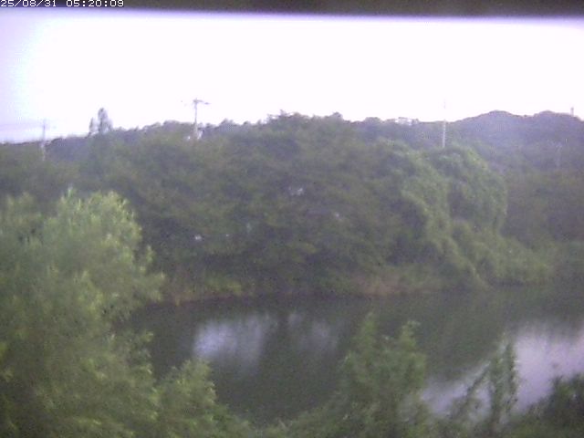 勝部川１2025/08/31 9:10:00