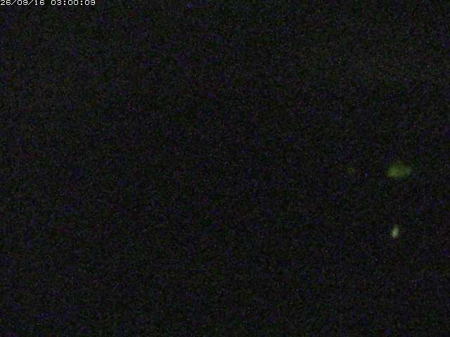 勝部川１2026/09/16 16:40:00
