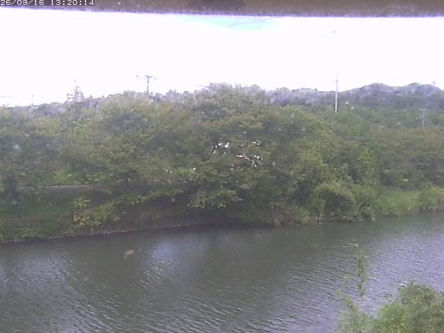 勝部川１2026/09/16 16:40:00