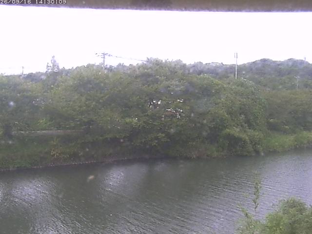 勝部川１2026/09/16 16:40:00
