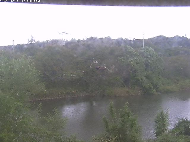 勝部川１2025/10/22 11:20:00