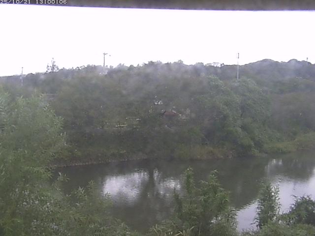 勝部川１2025/10/22 11:20:00