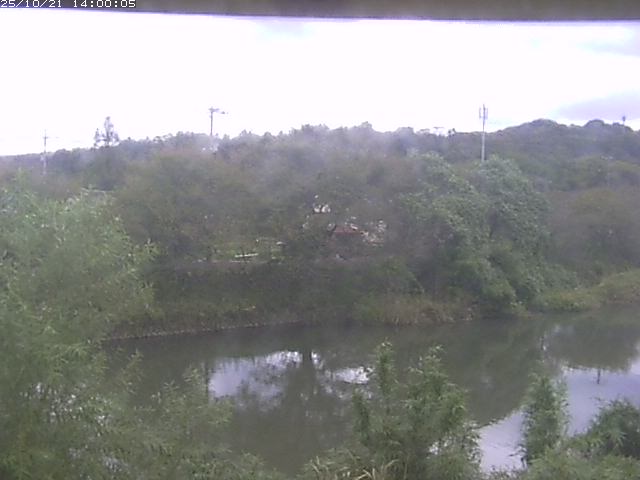 勝部川１2025/10/22 11:20:00