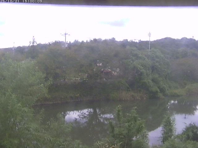 勝部川１2025/10/22 11:20:00