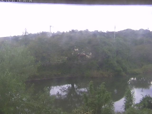 勝部川１2025/10/22 11:20:00