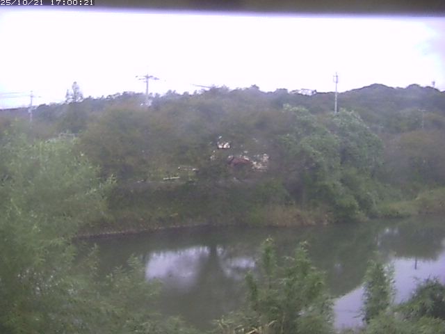 勝部川１2025/10/22 11:20:00
