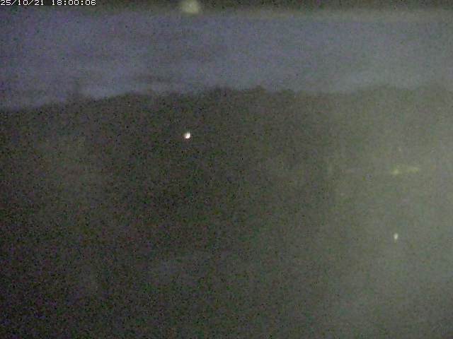 勝部川１2025/10/22 11:20:00