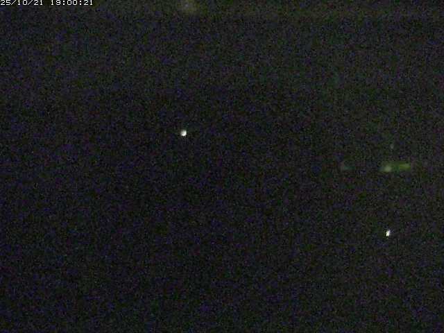 勝部川１2025/10/22 11:20:00