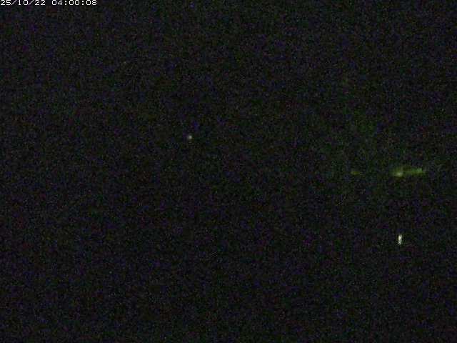 勝部川１2025/10/22 11:20:00