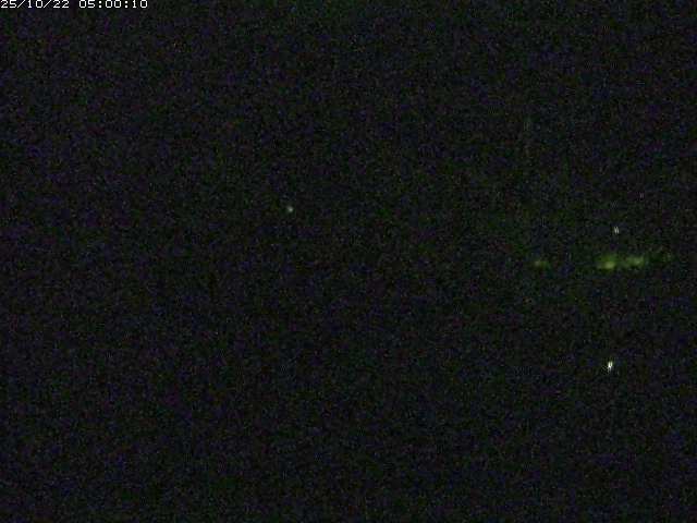 勝部川１2025/10/22 11:20:00