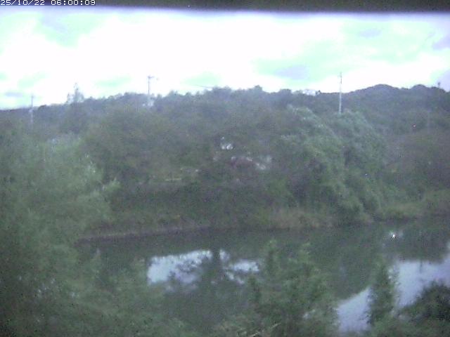 勝部川１2025/10/22 11:20:00