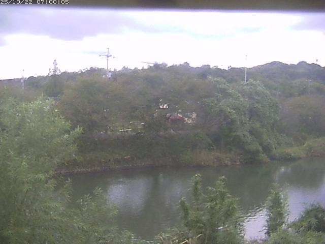 勝部川１2025/10/22 11:20:00