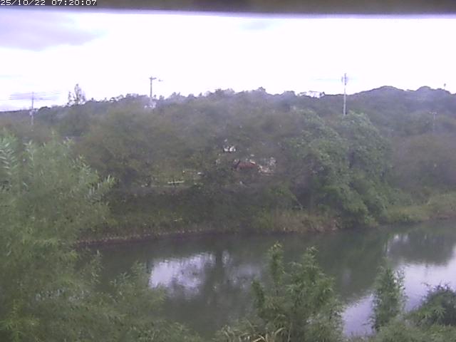 勝部川１2025/10/22 11:20:00