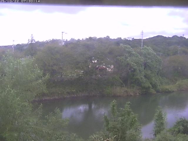 勝部川１2025/10/22 11:20:00