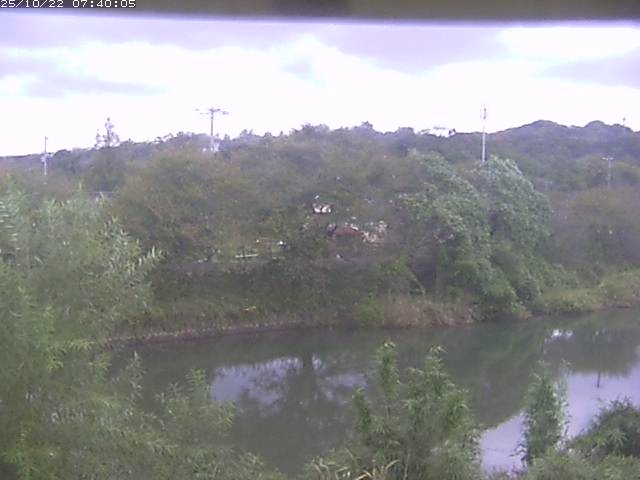 勝部川１2025/10/22 11:20:00