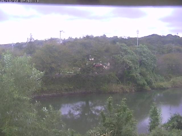 勝部川１2025/10/22 11:20:00