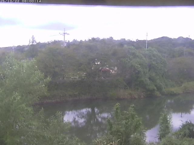 勝部川１2025/10/22 11:20:00