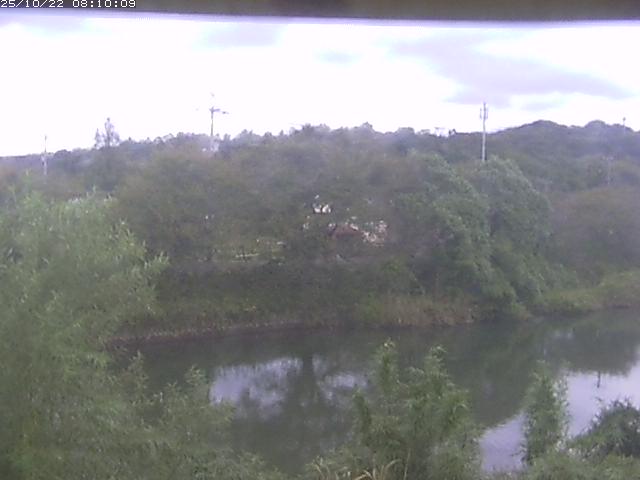 勝部川１2025/10/22 11:20:00