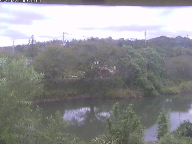 勝部川１2025/10/22 11:20:00