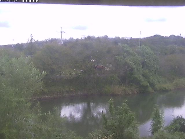 勝部川１2025/10/22 11:20:00