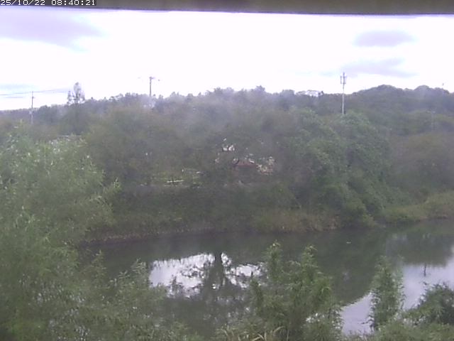 勝部川１2025/10/22 11:20:00