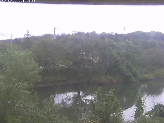 勝部川１2025/10/22 11:20:00