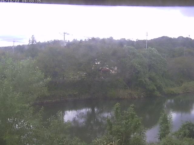勝部川１2025/10/22 11:20:00