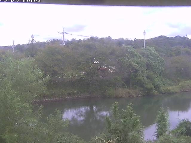 勝部川１2025/10/22 11:20:00