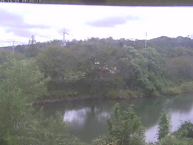 勝部川１2025/10/22 11:20:00