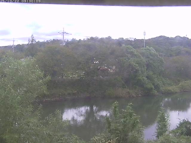 勝部川１2025/10/22 11:20:00