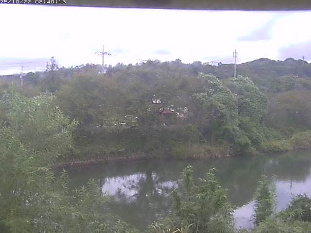 勝部川１2025/10/22 11:20:00