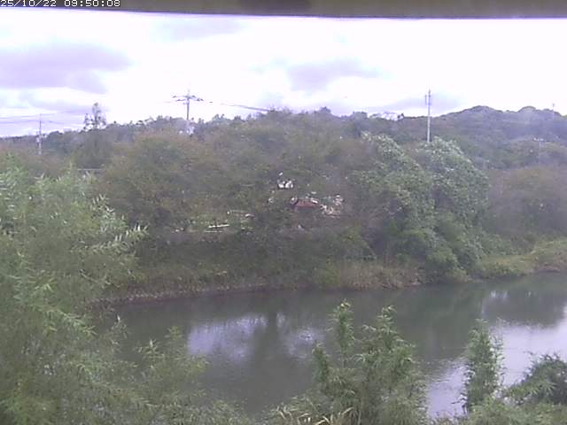 勝部川１2025/10/22 11:20:00
