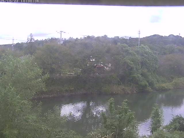勝部川１2025/10/22 11:20:00
