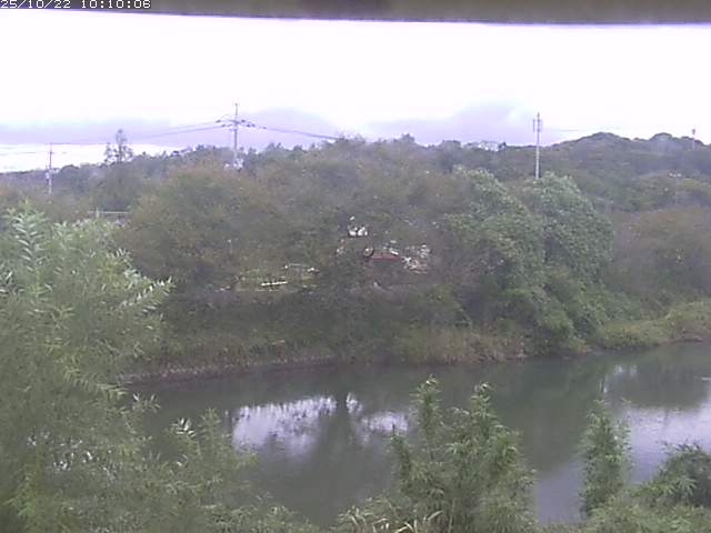 勝部川１2025/10/22 11:20:00
