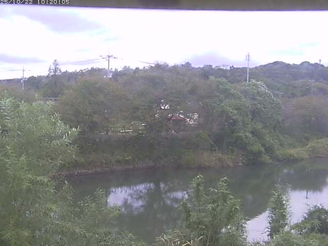 勝部川１2025/10/22 11:20:00