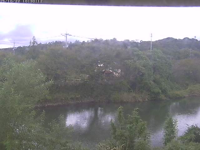 勝部川１2025/10/22 11:20:00