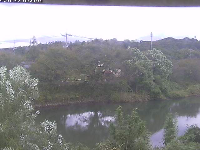 勝部川１2025/10/22 11:20:00